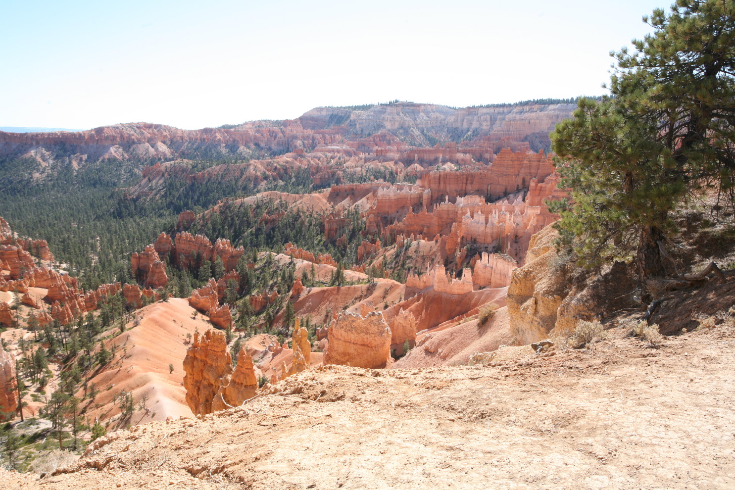 bryce canyon - queens#377a.jpg