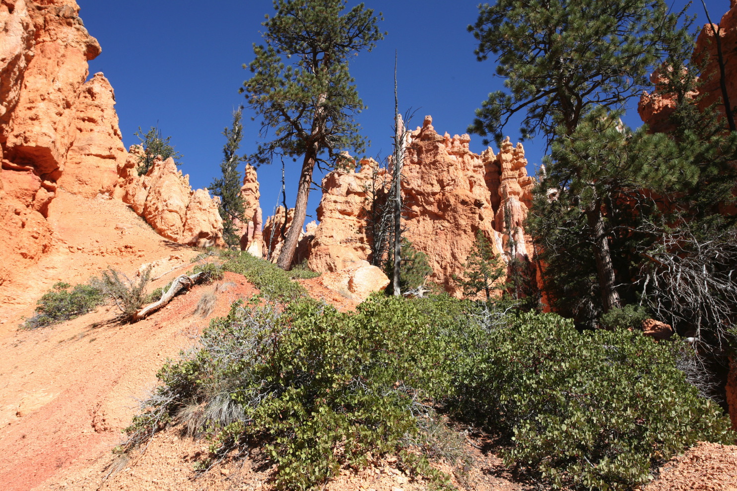 bryce canyon - queens#3bff.jpg