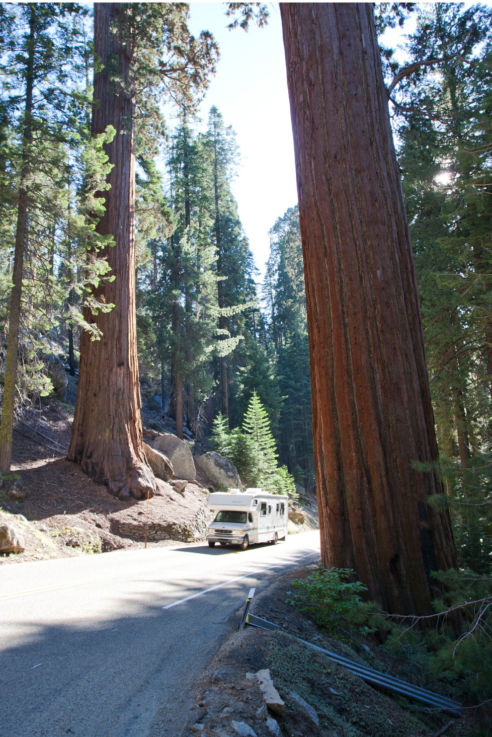 driving in sequoia na#3c_6.jpg