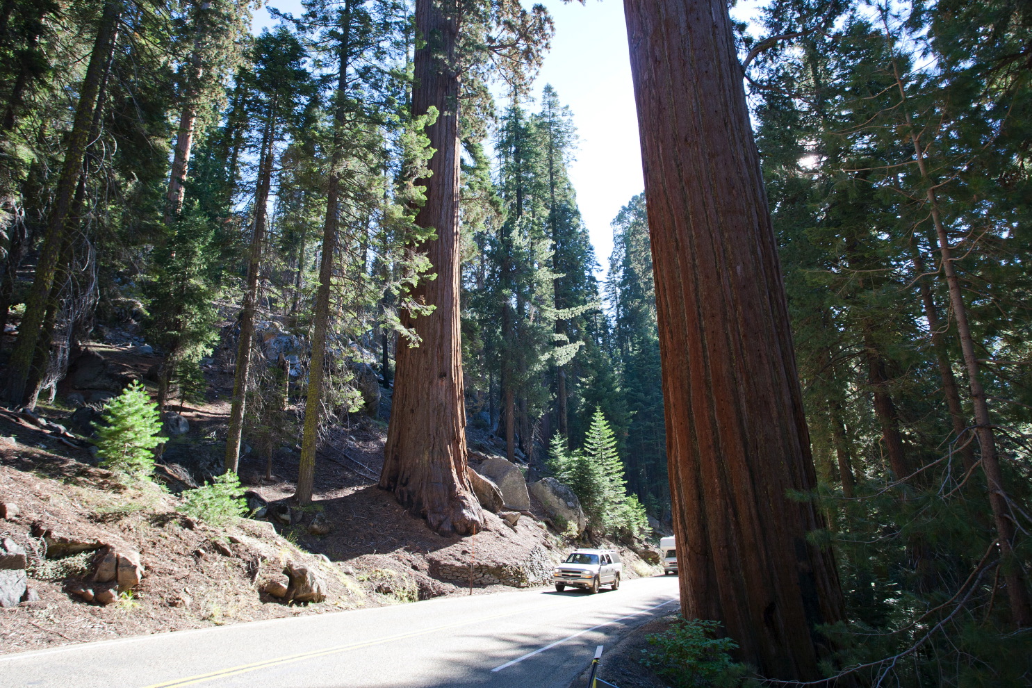 driving in sequoia na#3c_7.jpg