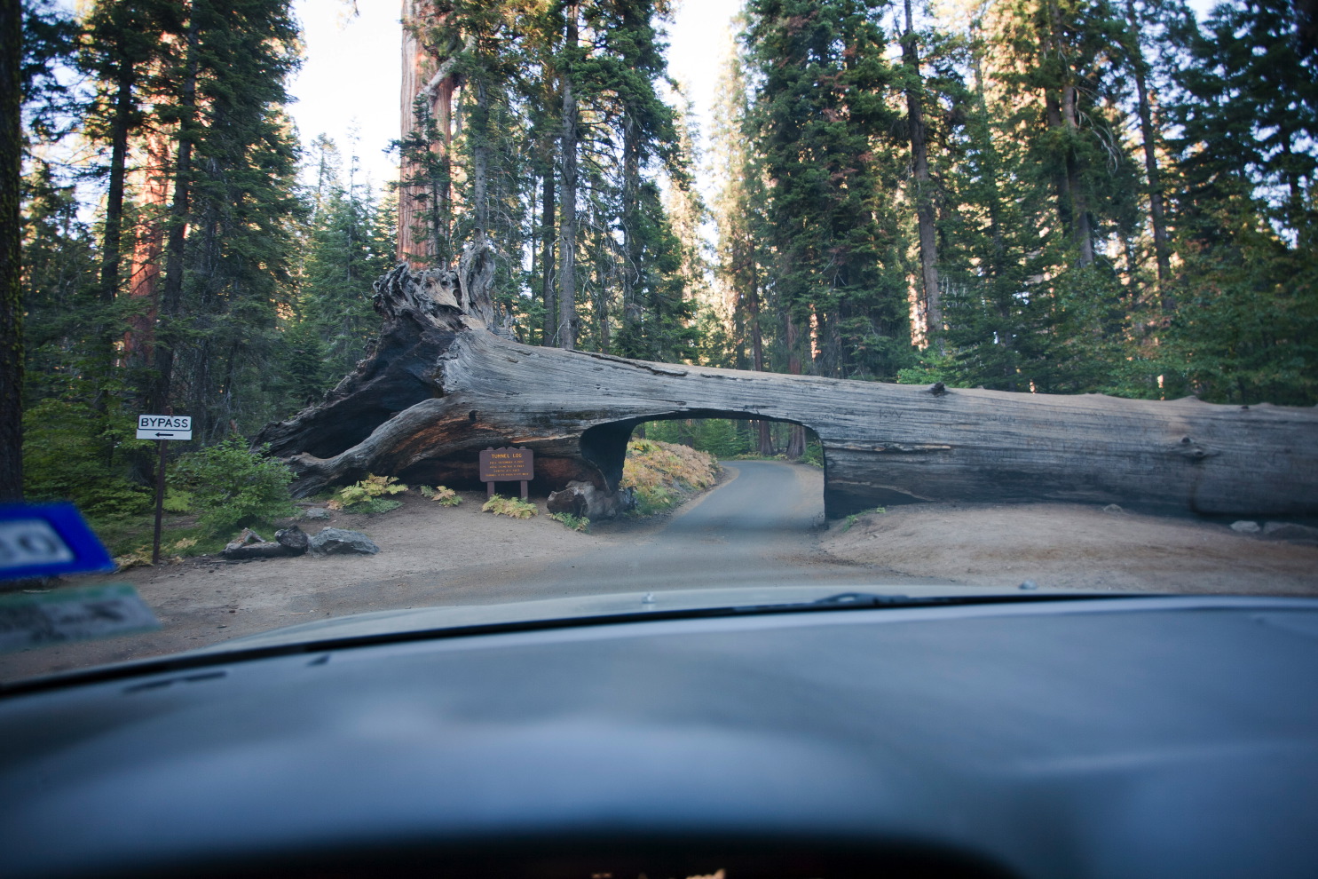 driving in sequoia na#3c_8.jpg