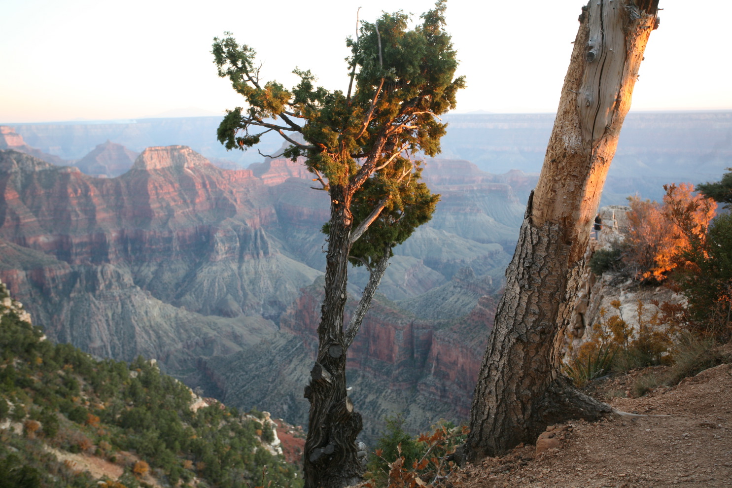 grand canyon views fr#377e.jpg