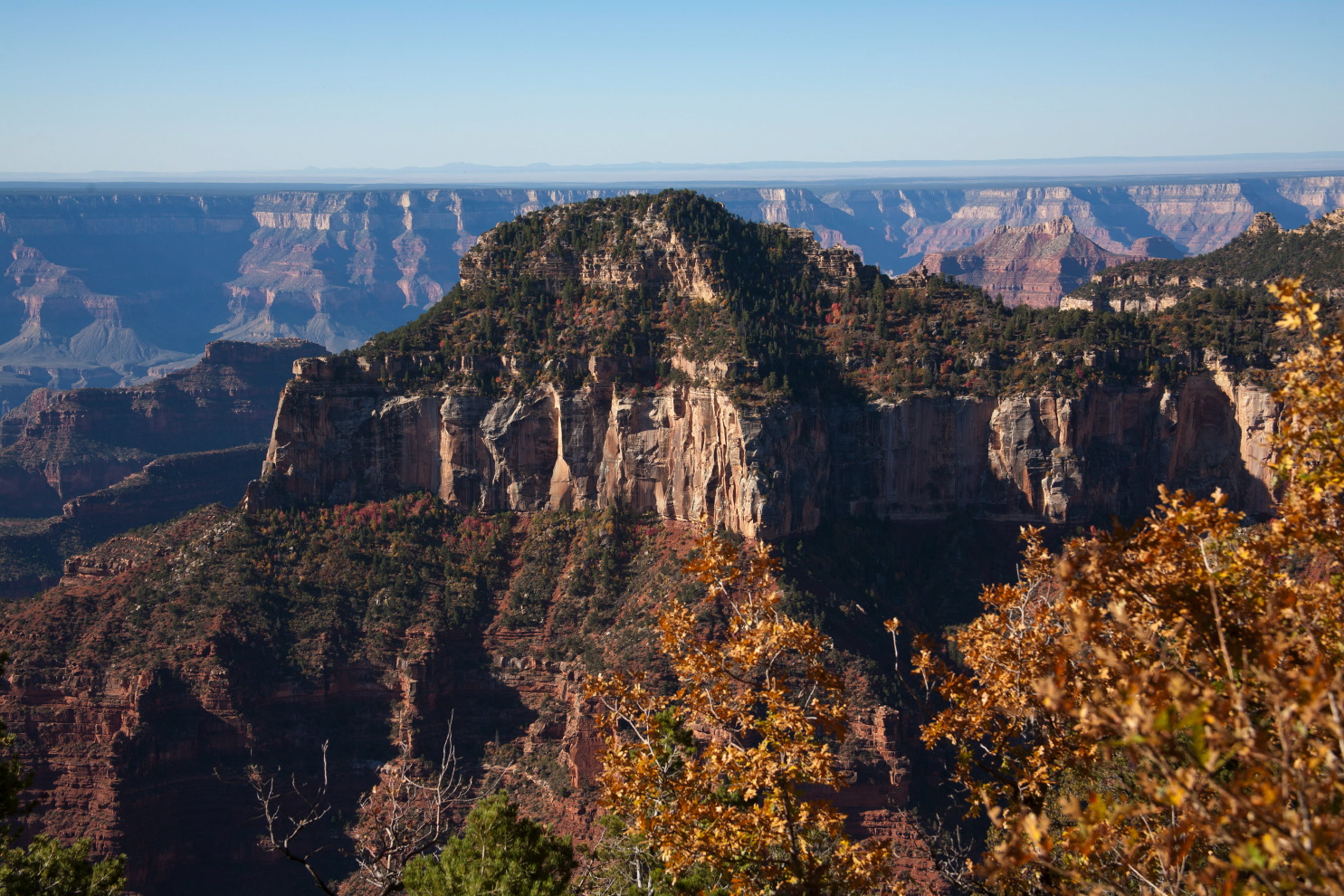 grand canyon views fr#3c06.jpg