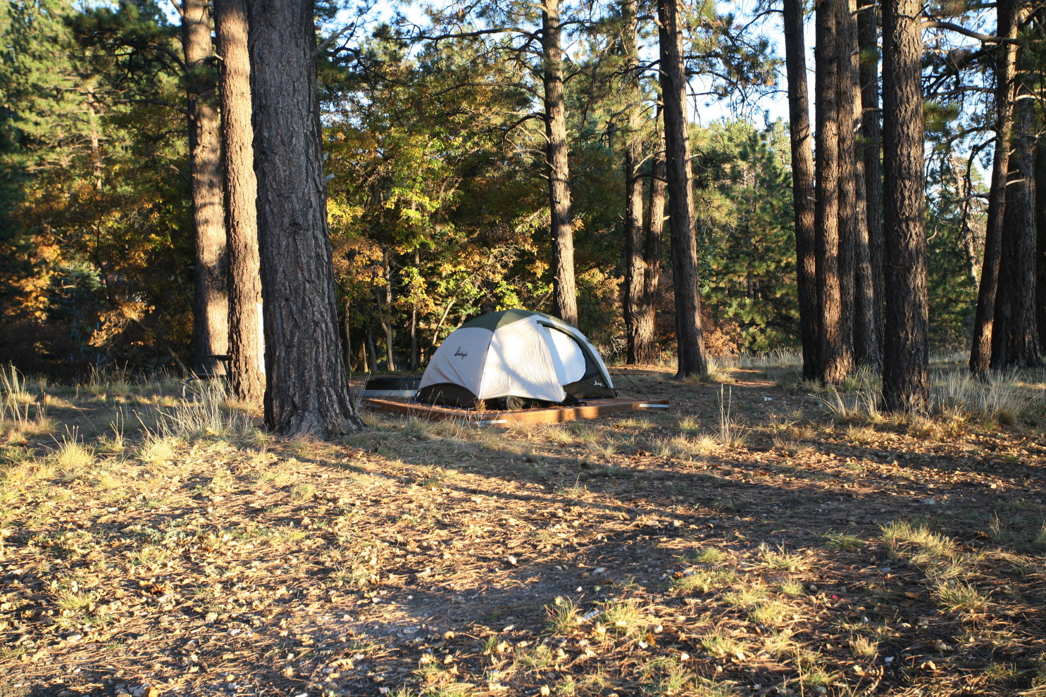 my campsite on the no#3c04.jpg