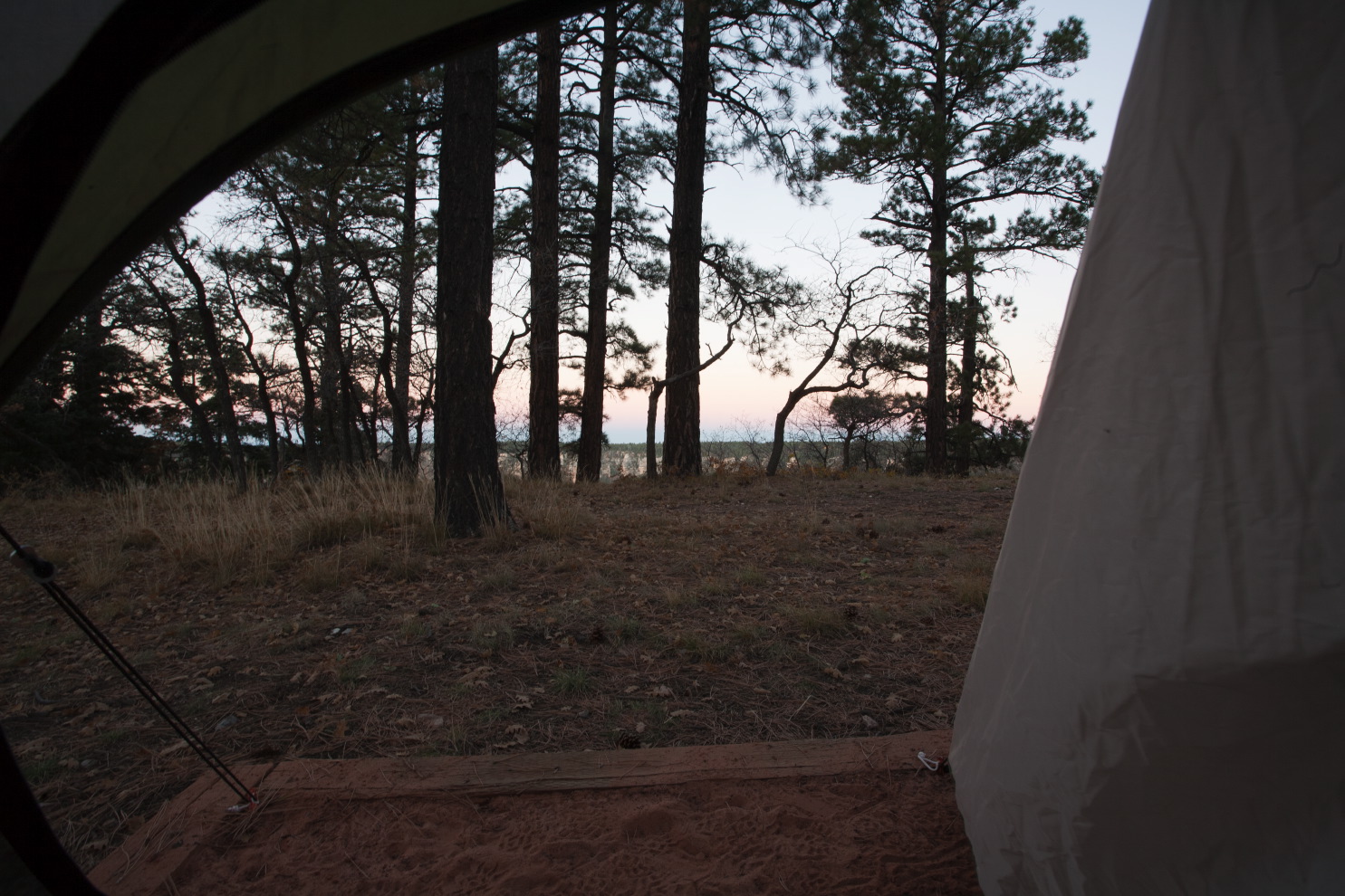 my view from my tent #3bff.jpg