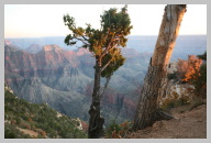 Grand Canyon Views from the North Rim 2.JPG