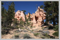 Bryce Canyon - Queens Garden Trail Hike06.JPG